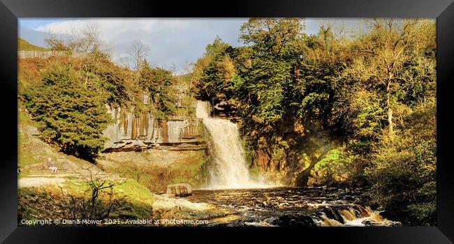 Thornton Force river Twiss Panoramic Framed Print by Diana Mower