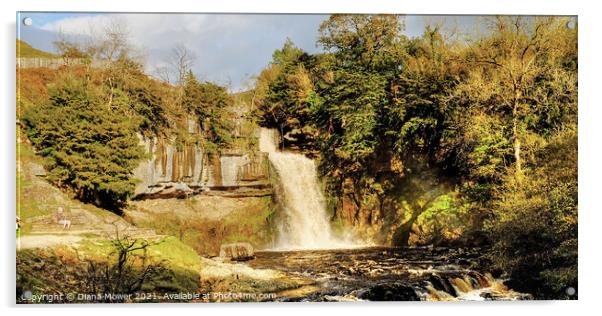 Thornton Force river Twiss Panoramic Acrylic by Diana Mower
