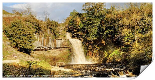 Thornton Force river Twiss Panoramic Print by Diana Mower