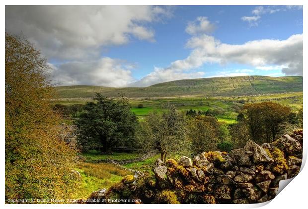 Yorkshire Dales Landscape Panoramic Print by Diana Mower