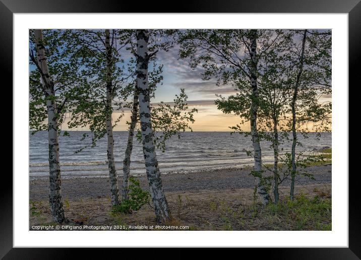 Laitakarintie Beach Sunset Framed Mounted Print by DiFigiano Photography