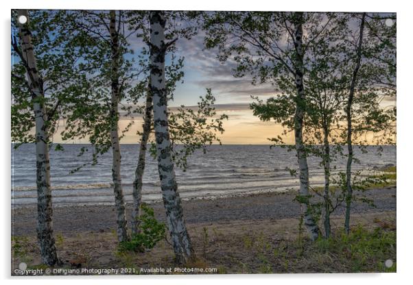 Laitakarintie Beach Sunset Acrylic by DiFigiano Photography