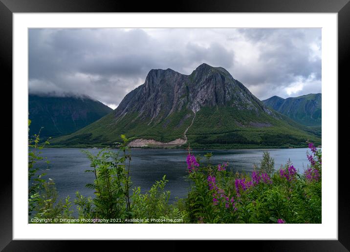 Tjongsfjorden Framed Mounted Print by DiFigiano Photography
