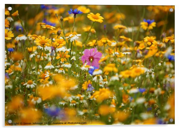 Summer Meadow Flowers  Acrylic by Simon Johnson