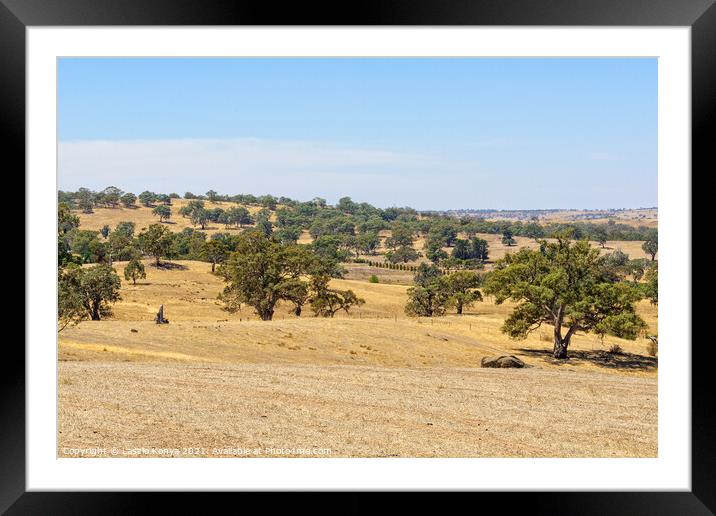 Pastoral landscape - Barossa Valley Framed Mounted Print by Laszlo Konya