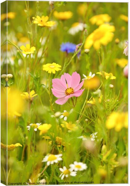 summer meadow flowers Canvas Print by Simon Johnson