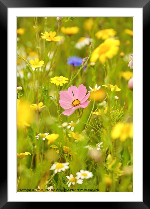 summer meadow flowers Framed Mounted Print by Simon Johnson