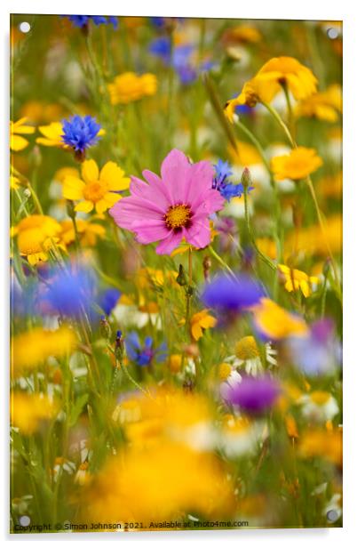 summer meadow flowers Acrylic by Simon Johnson