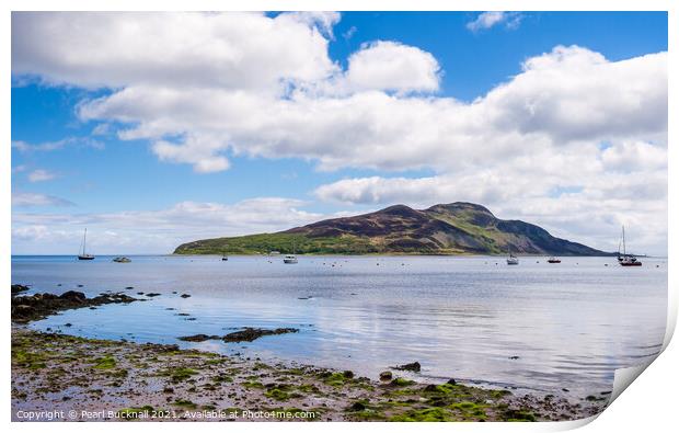 Holy Isle Arran Island Scotland Print by Pearl Bucknall