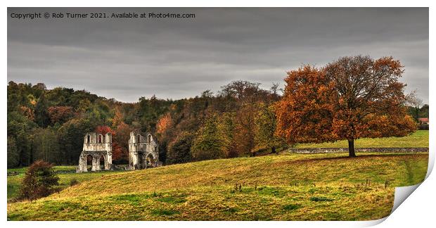 Autumn at Roache Abbey. Print by Rob Turner