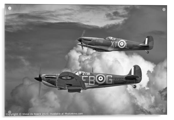 Spitfire Duo Acrylic by Steve de Roeck