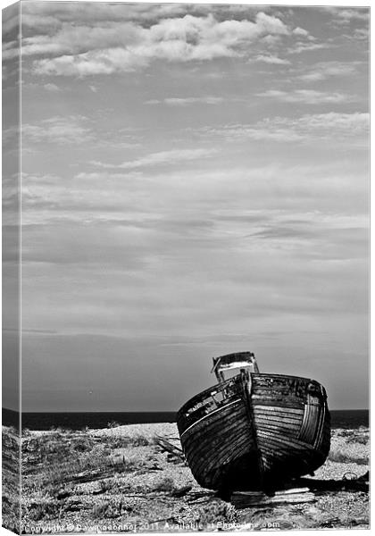 An Old Wrecked Fishing Boat Canvas Print by Dawn O'Connor