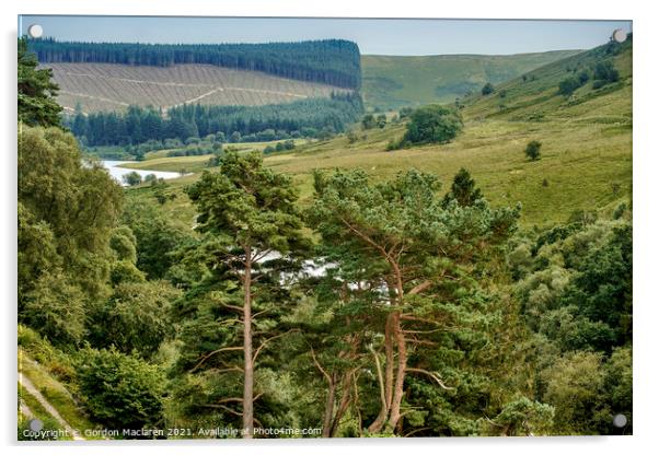 Elan Valley, Powys, Wales Acrylic by Gordon Maclaren
