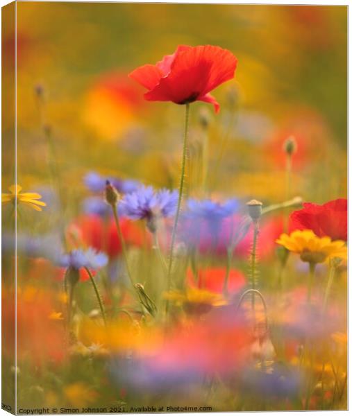 poppy and meadow flowers Canvas Print by Simon Johnson