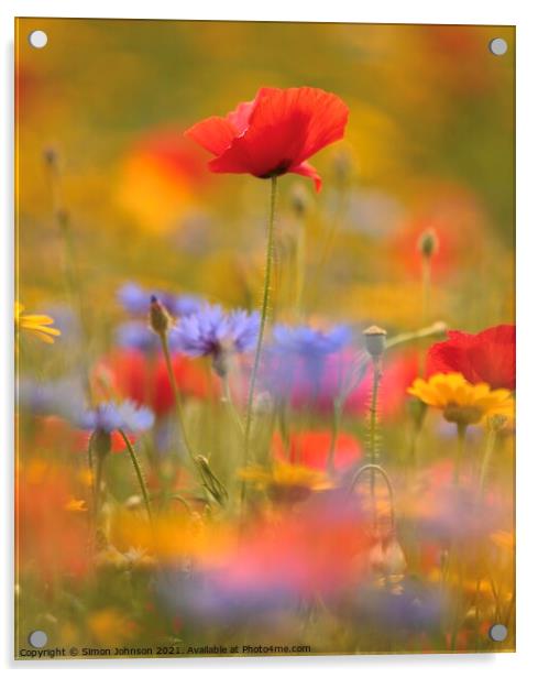 poppy and meadow flowers Acrylic by Simon Johnson