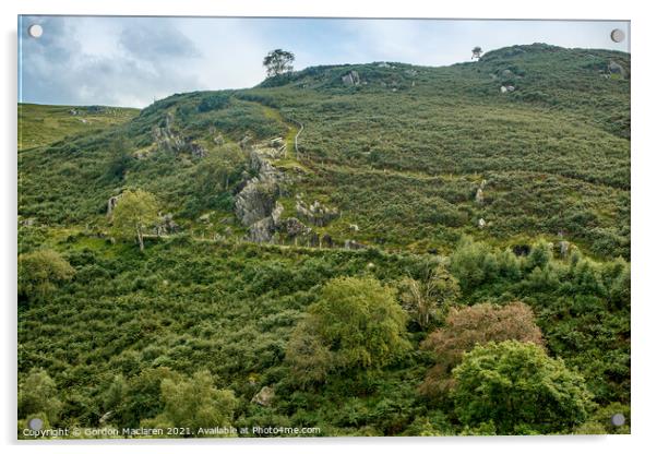 Hillside, Elan Valley, Powys, Wales Acrylic by Gordon Maclaren