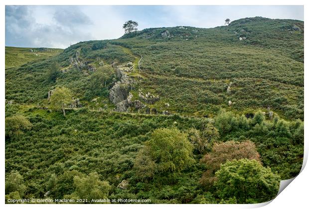 Hillside, Elan Valley, Powys, Wales Print by Gordon Maclaren