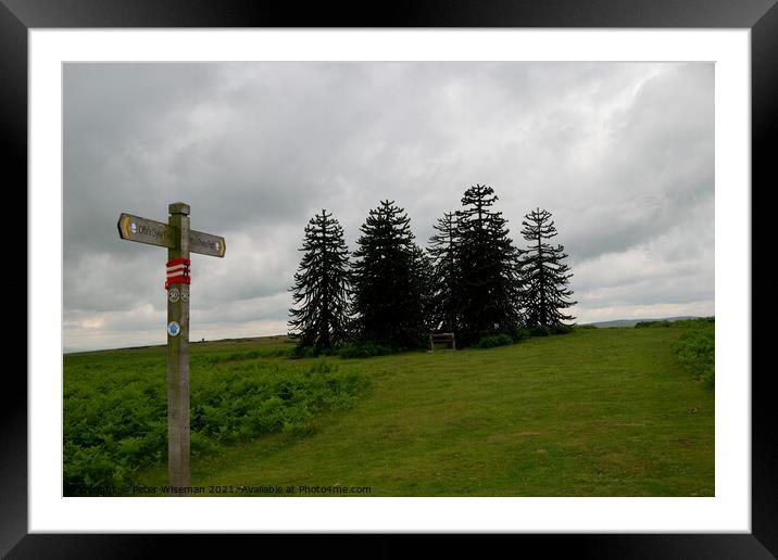 Offa's Dyke path as ir crosses Hergest Ridge, Herefordshire Framed Mounted Print by Peter Wiseman