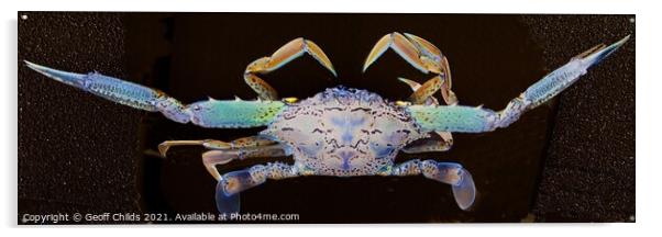 Blue Swimmer Crab Art closeup. Acrylic by Geoff Childs