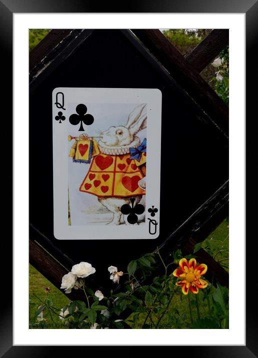 Large ornamental playing  card on fence panel Framed Mounted Print by Peter Wiseman