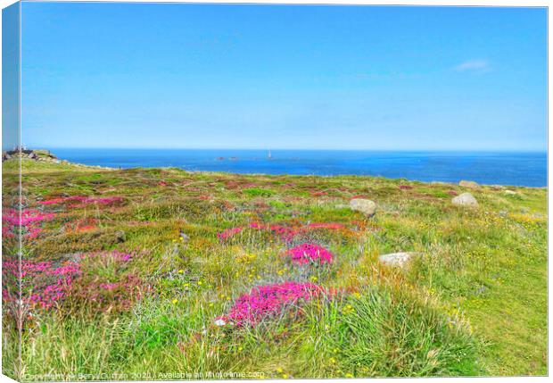 Majestic Heather Fields. Lands End Canvas Print by Beryl Curran
