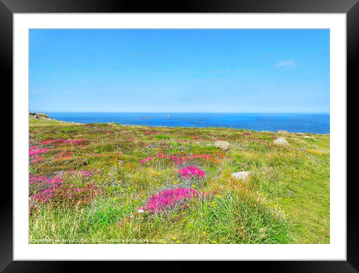 Majestic Heather Fields. Lands End Framed Mounted Print by Beryl Curran