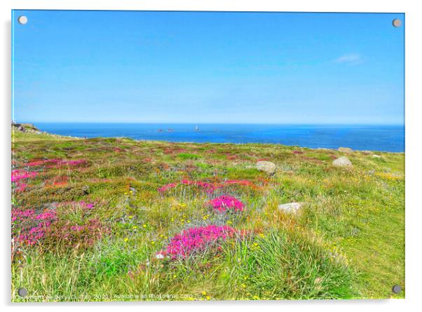 Majestic Heather Fields. Lands End Acrylic by Beryl Curran