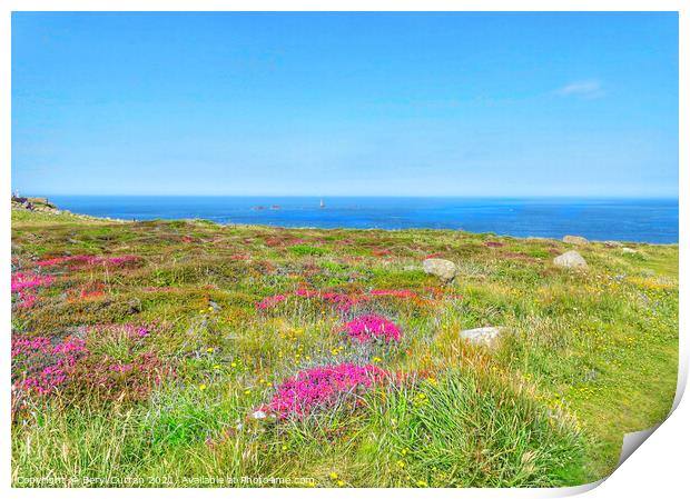 Majestic Heather Fields. Lands End Print by Beryl Curran