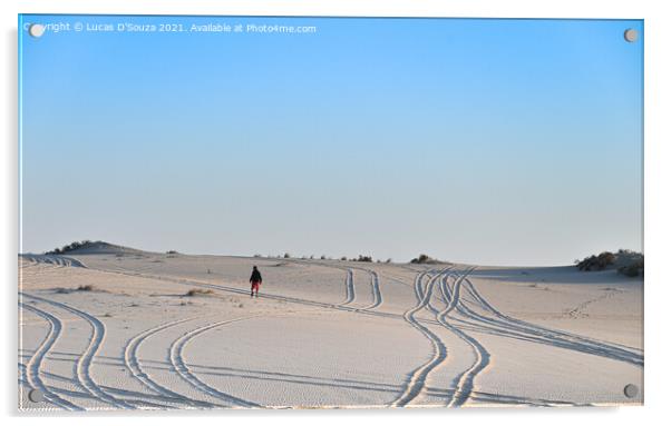 Tracks on the desert sand Acrylic by Lucas D'Souza