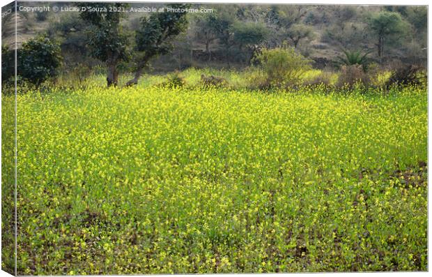 Mustard field with flowers Canvas Print by Lucas D'Souza