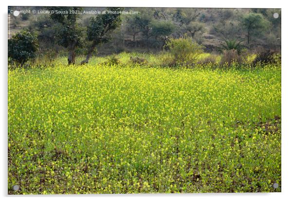 Mustard field with flowers Acrylic by Lucas D'Souza