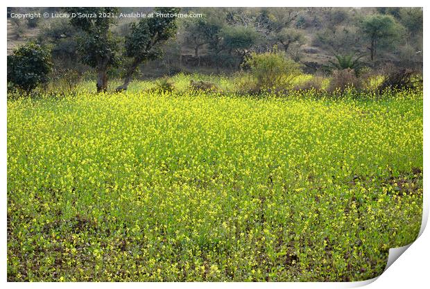 Mustard field with flowers Print by Lucas D'Souza