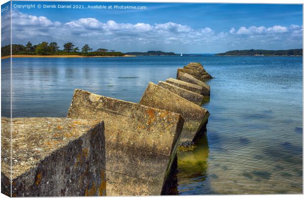 Dragon's Teeth, Bramble Bush Bay Canvas Print by Derek Daniel