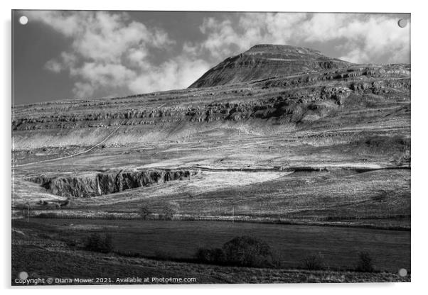 Ingleborough peak Yorkshire Monochrome Acrylic by Diana Mower