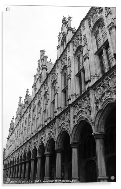 Mechelen Town Hall, Ornate Facade, Belgium Acrylic by Imladris 