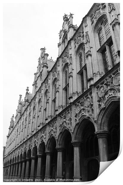 Mechelen Town Hall, Ornate Facade, Belgium Print by Imladris 