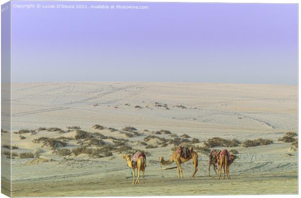 Camels in the desert Canvas Print by Lucas D'Souza