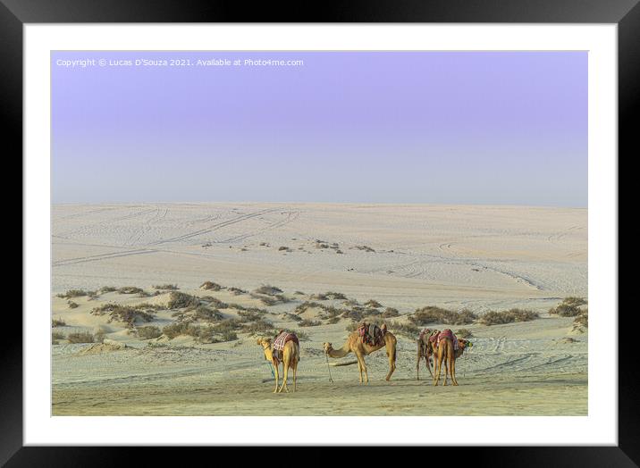 Camels in the desert Framed Mounted Print by Lucas D'Souza
