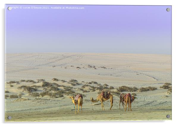 Camels in the desert Acrylic by Lucas D'Souza