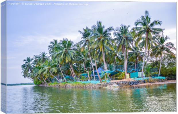 Small island with coconut palms Canvas Print by Lucas D'Souza