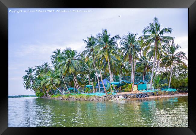 Small island with coconut palms Framed Print by Lucas D'Souza