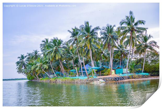 Small island with coconut palms Print by Lucas D'Souza