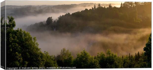 Early Morning Mist Landscape Canvas Print by Malcolm White
