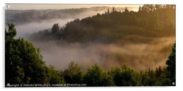 Early Morning Mist Landscape Acrylic by Malcolm White