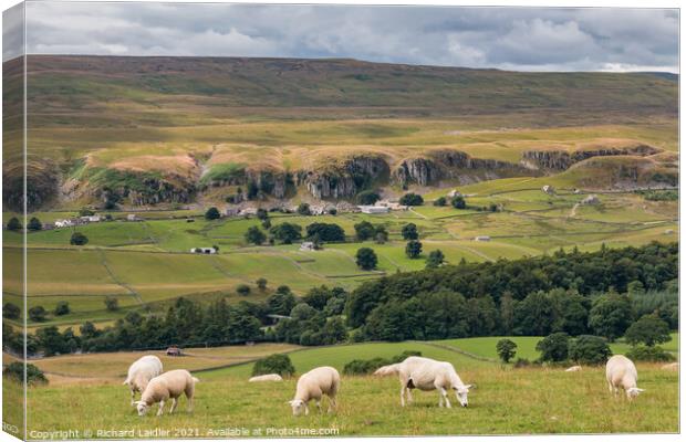 Spotlight on Holwick, Teesdale Canvas Print by Richard Laidler