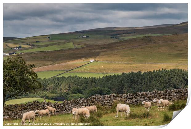 Bowlees barn in the Spotlight Print by Richard Laidler