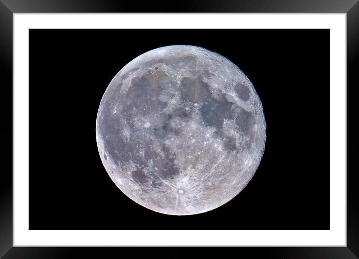 Full Flower Supermoon Framed Mounted Print by Susan Snow