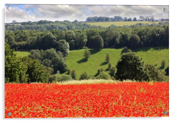 Poppy Field in the Cotswolds Acrylic by Susan Snow