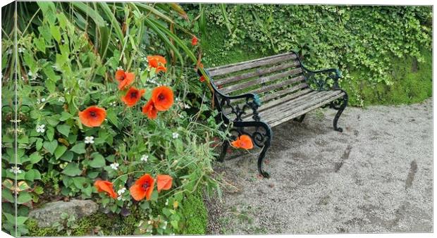 A seat for remembrance Canvas Print by keith sutton