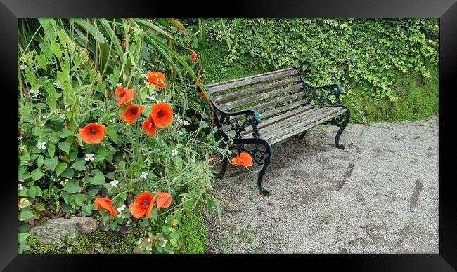 A seat for remembrance Framed Print by keith sutton